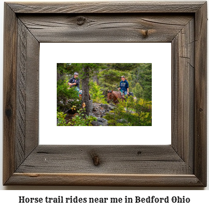 horse trail rides near me in Bedford, Ohio